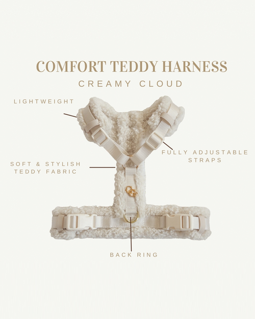 Doodle rocking an ivory teddy dog harness, ideal for stylish pups.