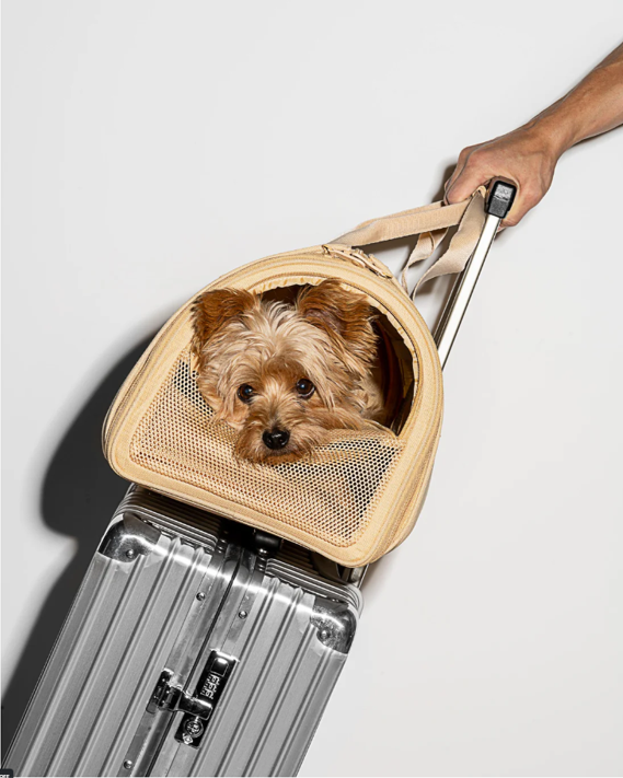 Wild One Travel Carrier Tan