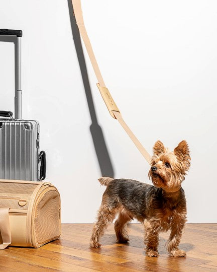 Wild One Travel Carrier Tan