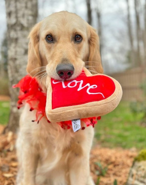 Red love sugar cookie dog toy with squeaker.
Squeaky sugar cookie shaped dog toy for puppies.
