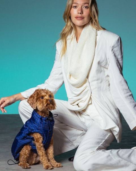 Blue striped easy fit dog jacket, great for small dogs like Pugs and Beagles.