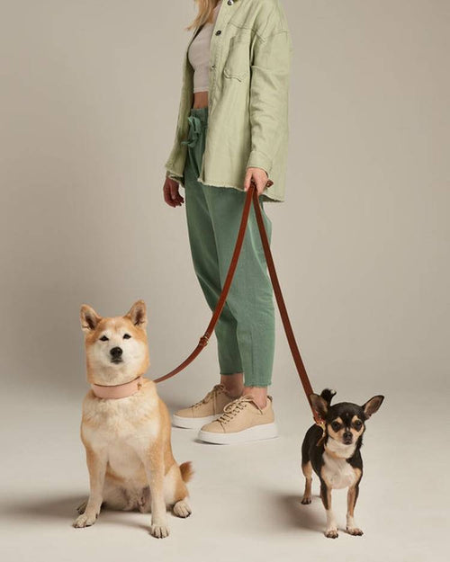 Adjustable brown leather leash, perfect for walks and outdoor adventures with your dog.