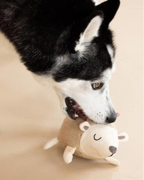 Forest Friend Hedgehog Dog Toy