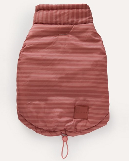 Elegant rose striped jacket for small to medium dogs, like Dachshunds and Pugs.