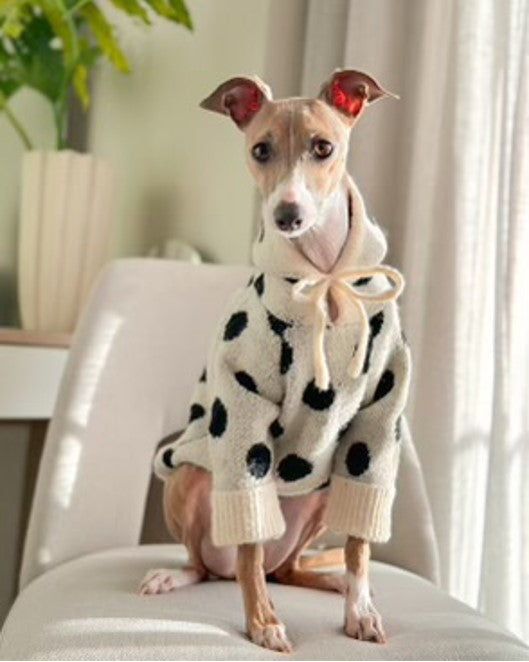 Venice Ivory + Polka Dot Dog Hoodie