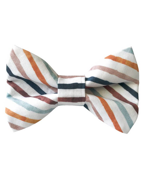 Take a Bow Striped Cotton Bow Tie