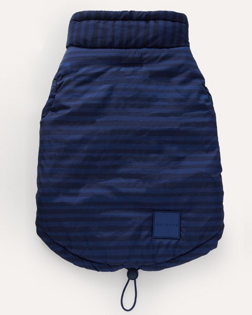 Elegant blue striped jacket for small to medium dogs, like Dachshunds and Poodles.