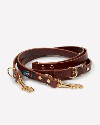 Durable multi-position brown leather leash for dogs, perfect for walks.