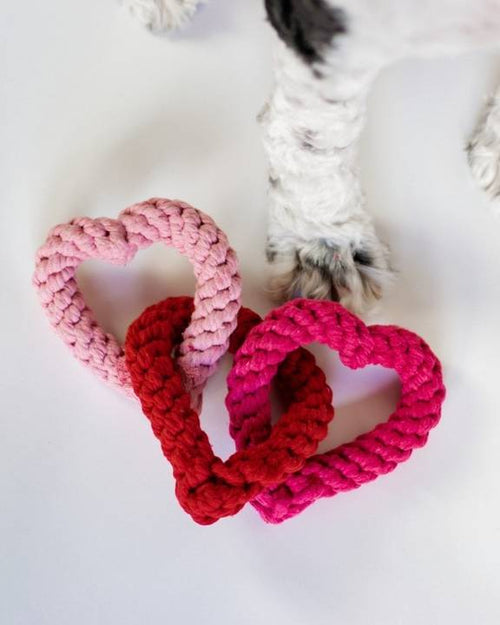 Heart-shaped tug toy for small to medium-sized dogs like Dachshunds, Beagles, and Cocker Spaniels