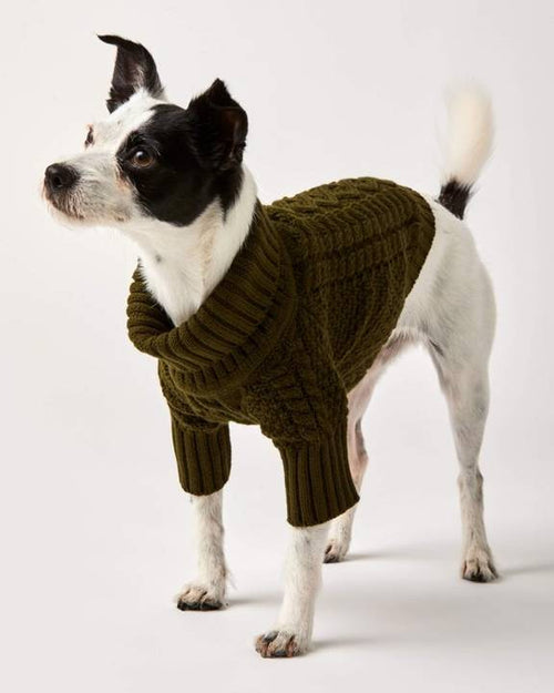 A medium-sized dog wearing an olive green cable knit sweater, featuring adjustable roll neck and sleeves.