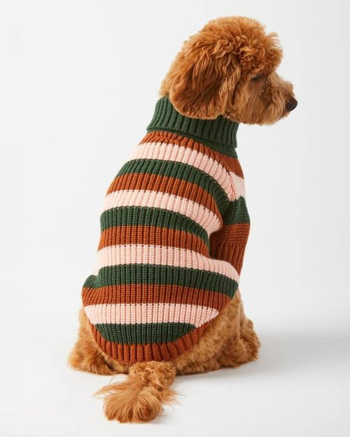 Chic Bold Stripe Dog Sweater, perfect for fashion-forward dogs who love to stand out.