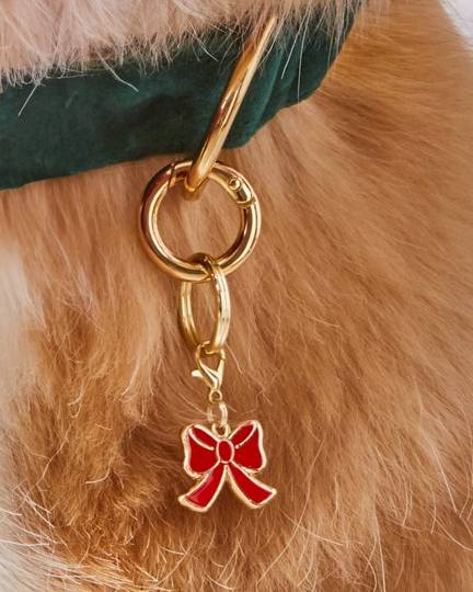 Red bow collar charm for stylish pups like Dachshunds and Pugs