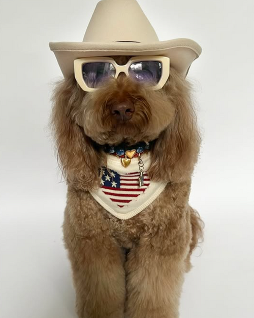 Americana-themed dog bandana, perfect for small and medium breeds like Beagles and Pugs.