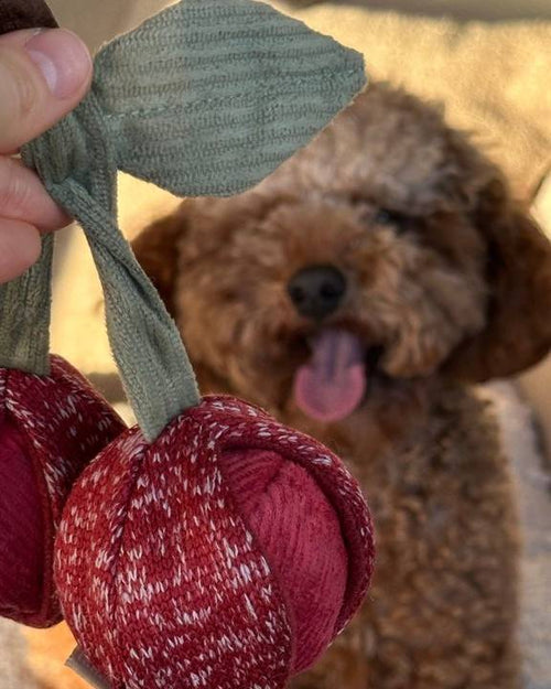 Plush cherry toy with stitched detail – a fun squeaky treat for toy-loving pups