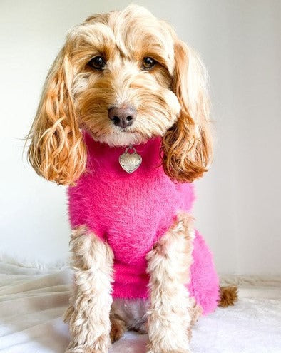 Fluffy hot pink dog sweater on white background. Chihuahua pink sweater.