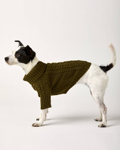 Small dog in an olive cable knit sweater with a cozy turtleneck, perfect for colder weather.