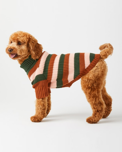 Soft and warm Bold Stripe Dog Sweater, ideal for keeping your dog cozy on cold outings.