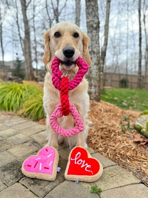 Heart tug dog toy for small to large breed dogs, great for energetic pups like Pomeranians and Beagles