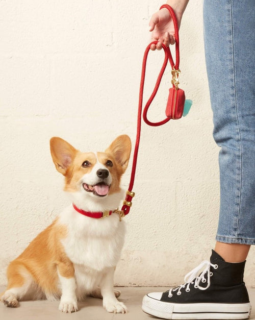 Ruby red poop bag holder for dogs, a stylish and convenient accessory for walks.