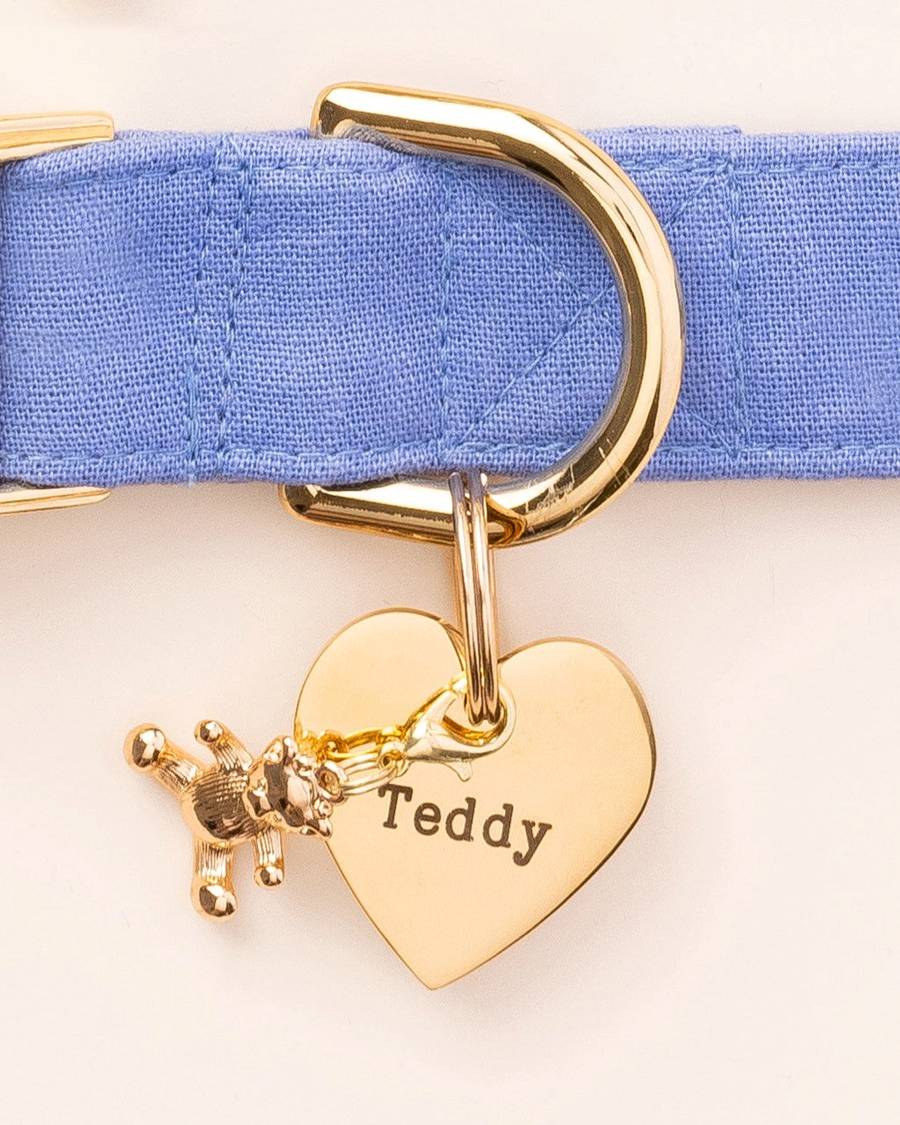 Cute teddy bear charm on a dog's collar, ideal for adding flair to small breed accessories.