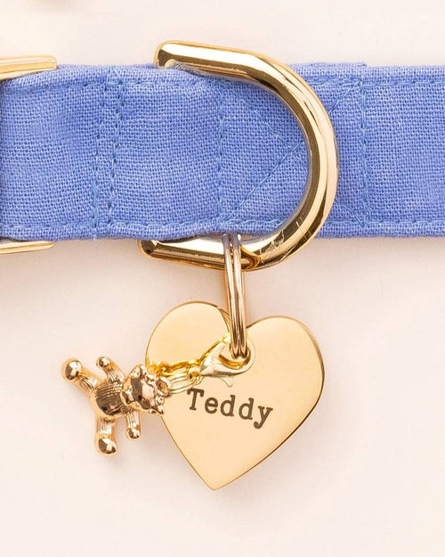 Cute teddy bear charm on a dog&