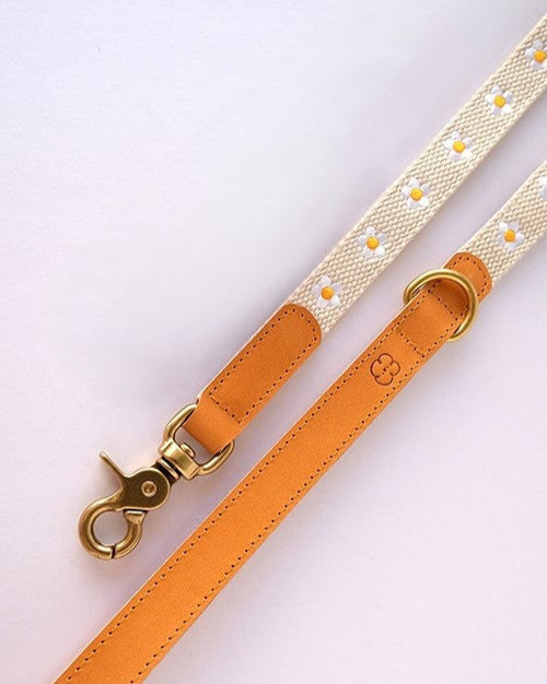 White dog leash featuring a cheerful daisy pattern, ideal for adding a floral touch to your pet&
