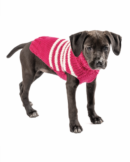 Chic red striped sweater for dogs, ideal for cold weather