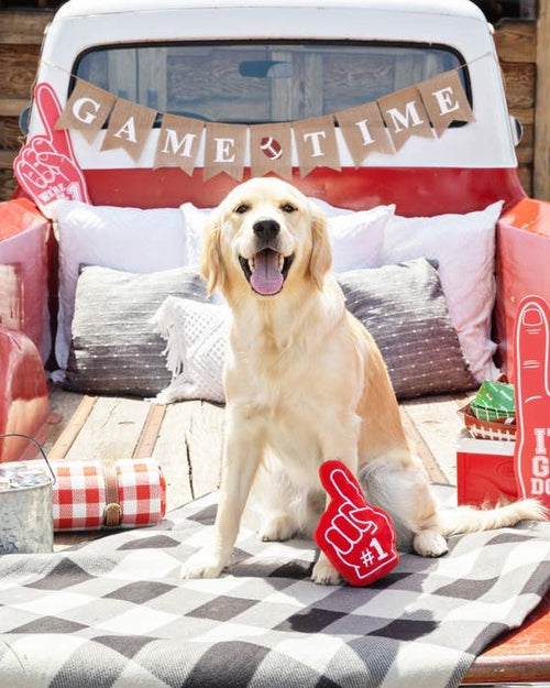 Biggest Fan Finger Plush Dog Toy