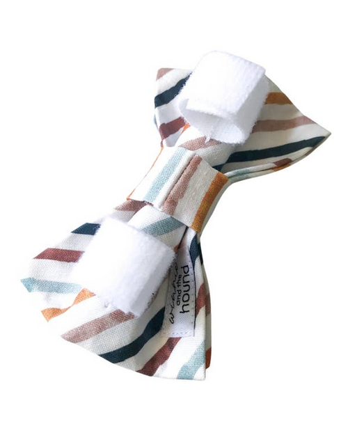 Take a Bow Striped Cotton Bow Tie