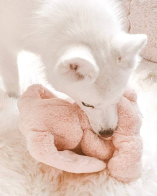 Cuddly pink bunny toy for dogs, perfect for playful pups