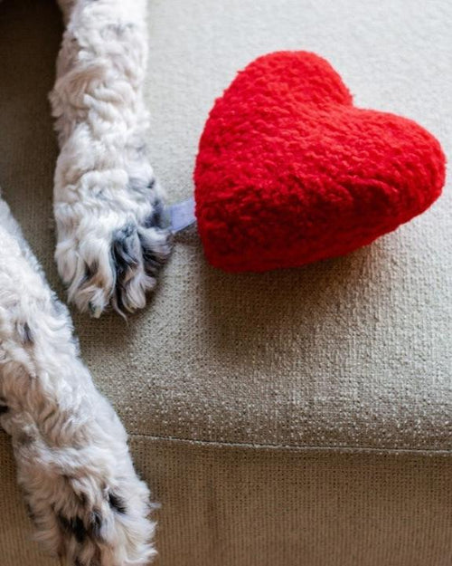 Soft dog toys for cuddling and play