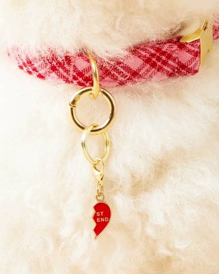 Cute BFF collar charm set for dogs, ideal for small breeds like Pugs and Chihuahuas.