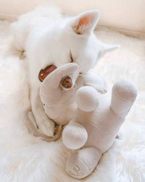 Soft and cuddly elephant toy for dogs, perfect for playtime