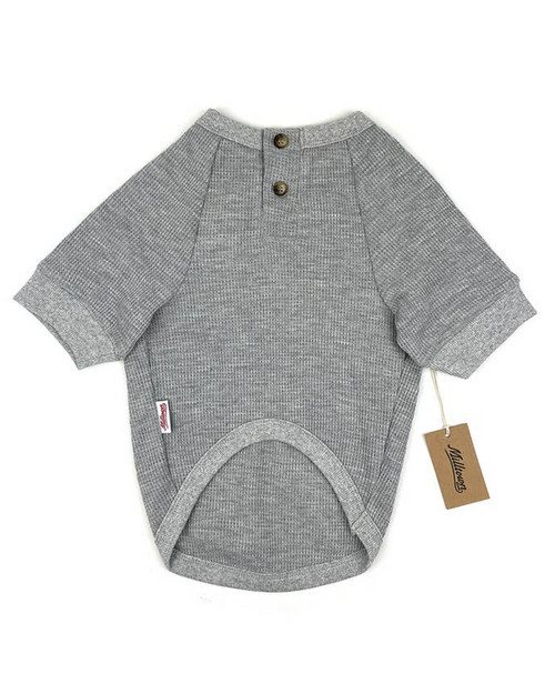 Harper grey waffle knit henley dog shirt, perfect for Yorkies or French Bulldogs.