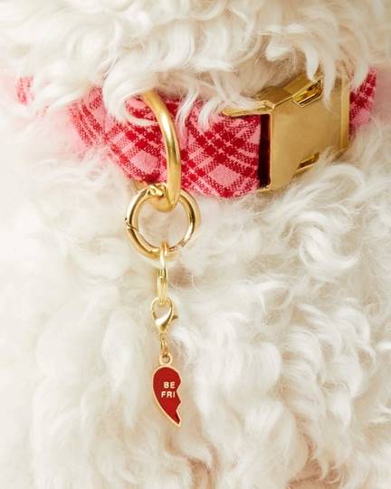 Heart BFF charm set for adorable medium-sized dogs like Beagles and Poodles.