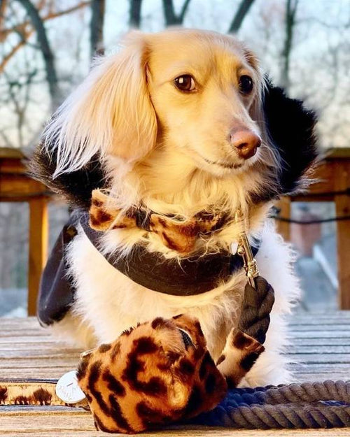 Stylish and functional poop bag holder in brown pony hair