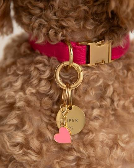 Sweet pink heart collar charm for dogs like Shih Tzus and French Bulldogs