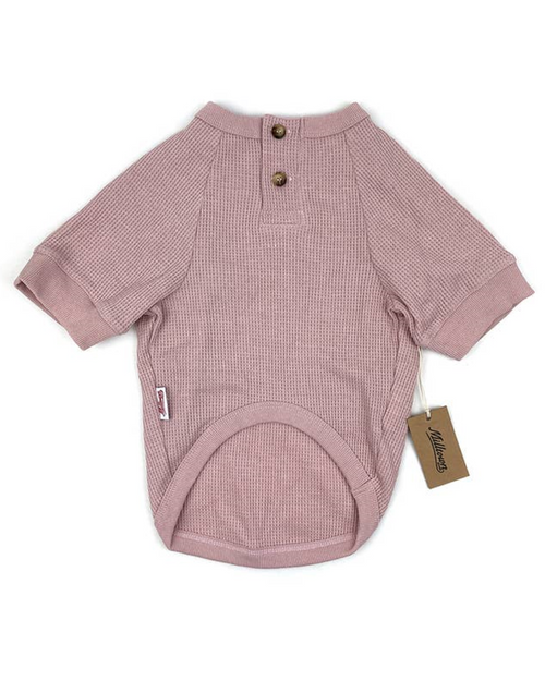 Cozy and stylish pink dog henley, perfect for Doodles or French Bulldogs.
