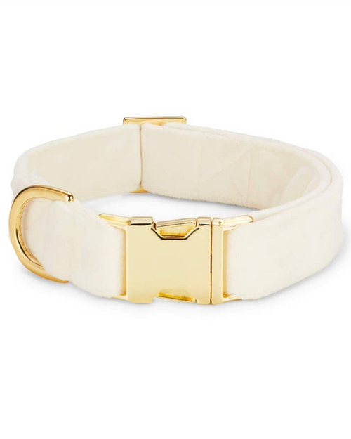 Ivory wedding dog bow collar, a stylish accessory for your pup on their special day