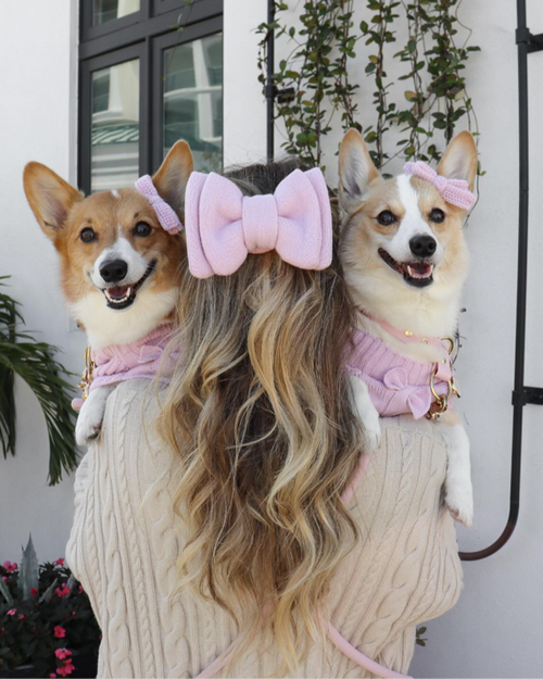 Bright pink dog hair bow, ideal for small dogs looking for a stylish pop of color
