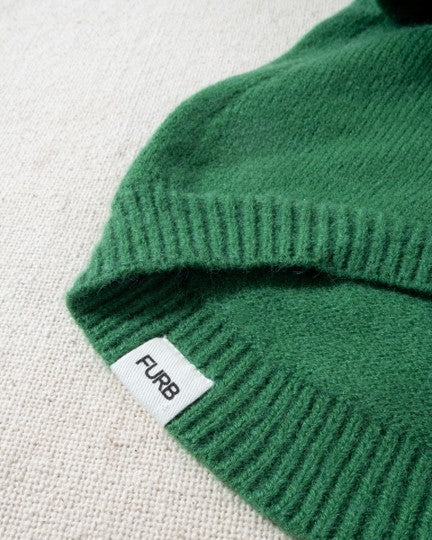 Milan Green Dog Hoodie cute outfits for pugs