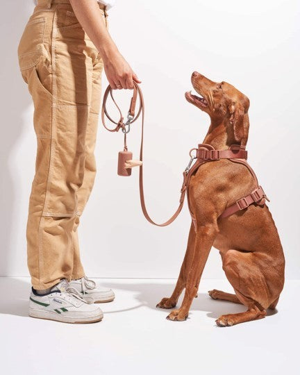 Wild One Cocoa Leash Image