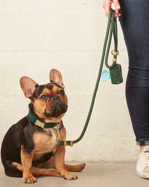 The Foggy Dog Evergreen Marine Rope Dog Leash