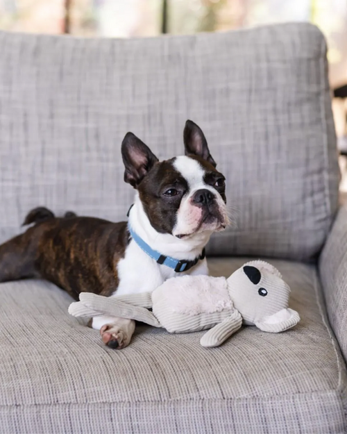Soft and snuggly koala toy for dogs, great for companionship