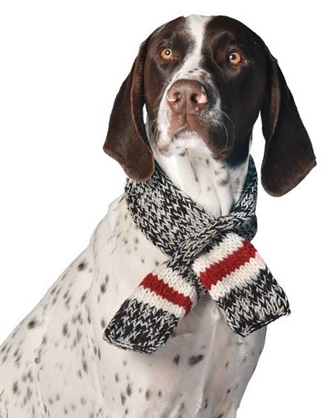 Fashionable grey dog scarf to keep your pet stylish