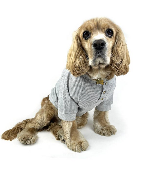 Trendy and comfortable grey dog henley, perfect for small breeds like Chihuahuas or Pugs.