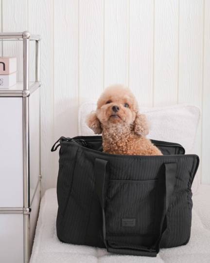 Stylish black dog carrier bag, perfect for keeping your pup safe and cozy on the go