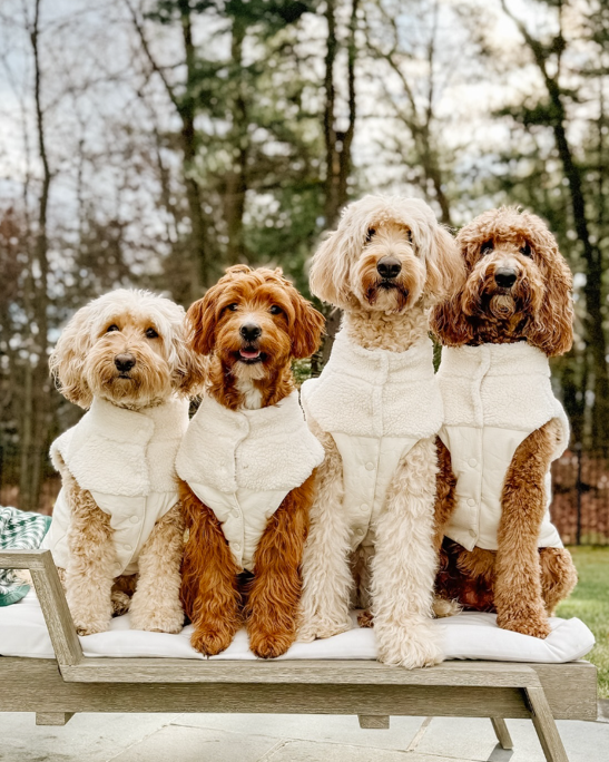 On Cloud K 9 Teddy Dog Vest