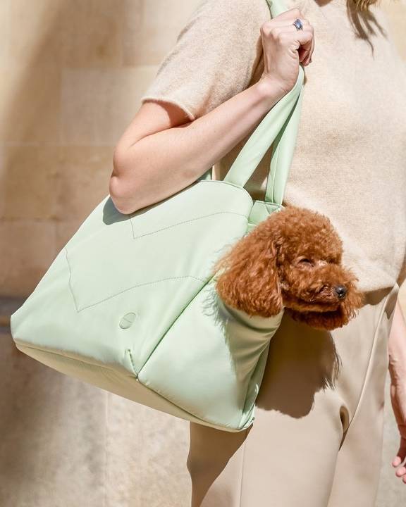 Road Trip Pet Carrier Tote