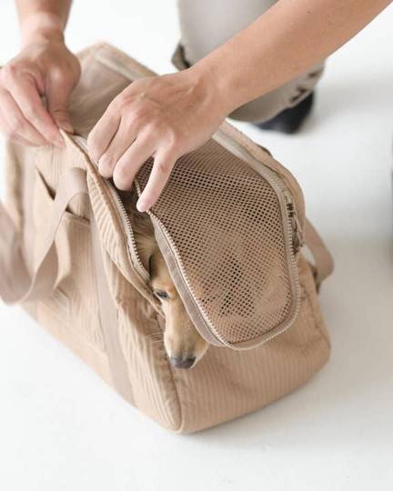 Trendy camel dog carrier bag, a must-have accessory for modern dog owners